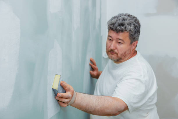 Best Black Mold Removal  in Madisonville, TX